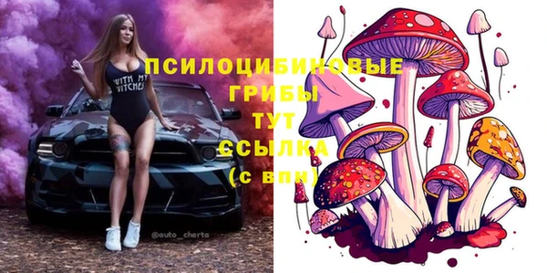 ешки Алексин