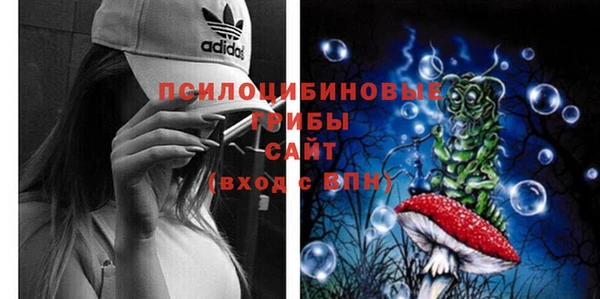 ECSTASY Алзамай