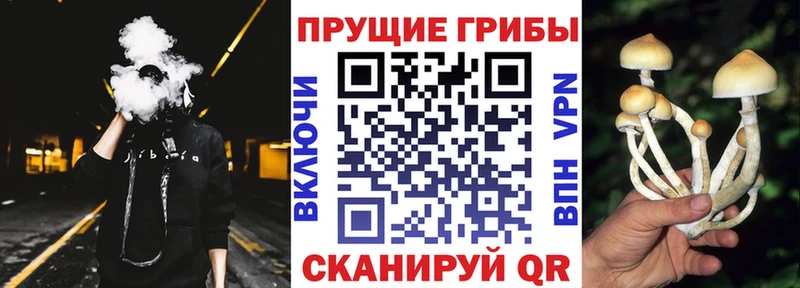 купить  сайты  Козловка  Галлюциногенные грибы мухоморы 